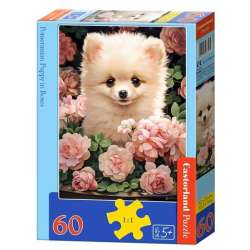 Puzzle 60 Pomeranian Puppy in Roses CASTOR - 1