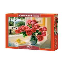 Puzzle 3000 Summer Reminiscence (GXP-868208) - 1