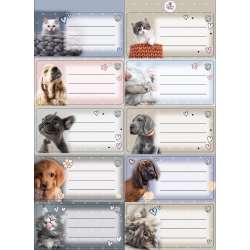 Naklejki na zeszyty pasek The Sweet Pets - 1
