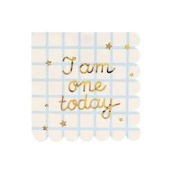 Serwetki papierowe I am one today 33x33cm
