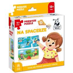 Kapitan Nauka. Pierwsze puzzle Na spacerze