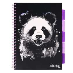 Kołozeszyt Pads A4/100K kratka Panda