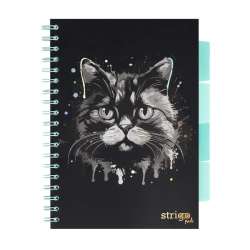 Kołozeszyt Pads B5/100K kratka Kot