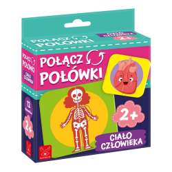 Połącz połówki Ciało Człowieka - 1