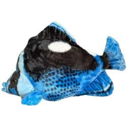 Ryba Hepatus niebieska 41cm - 1