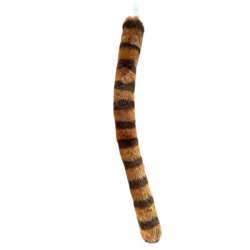 Ogon pandy czerwonej 60cm