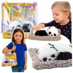 Śpiąca panda na poduszce - 1