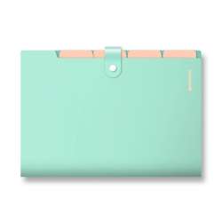Teczka z przegródkami A4 PP-105 zielona pastel - 1
