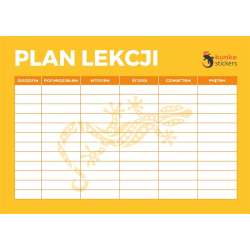 Plan lekcji elektrostatyczny 3szt