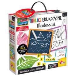 Montessori Tablice edukacyjne 89093 LISCIANI p6 (304-PL89093) - 1