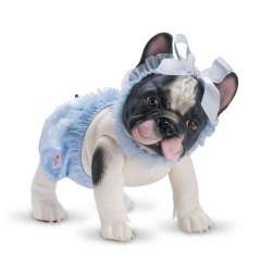 Piesek Lily Buldog Francuski - 1
