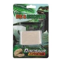 Wykopaliska skamieniałości dinozaurów