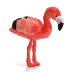 Flaming 23cm WWF - 1