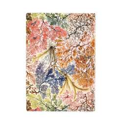 Notatnik czysty Anemone midi - 1