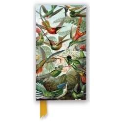 Notatnik linia TW Kolibry Ernst Haeckel