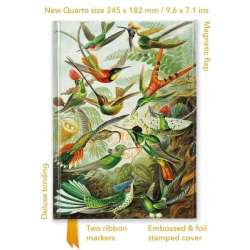 Notatnik quatro linia TW Kolibry Ernst Haeckel - 1