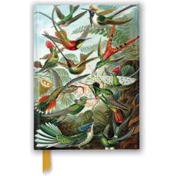 Notatnik A5 linia TW Kolibry Ernst Haeckel - 1