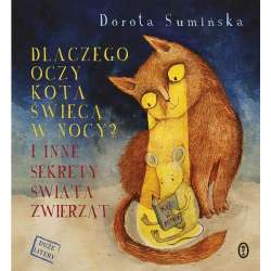 Dlaczego oczy kota świecą w nocy?