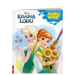 Książka Maluj wodą. Kraina Lodu (MW-9113)