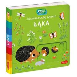 Książka Akademia Mądrego Dziecka. Niesamowity spacer. Łąka (9788327661982)