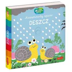 Książka Akademia Mądrego Dziecka. Niesamowity spacer. Deszcz (9788327661999)