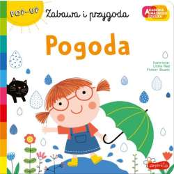 Książka Akademia mądrego dziecka. Zabawa i przygoda. Pogoda (9788327663375)