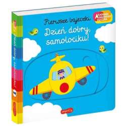 Książka Akademia Mądrego Dziecka. Pierwsze bajeczki. Dzień dobry, samolociku! (9788327669957)
