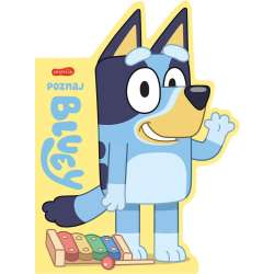 Poznaj Bluey. Książeczki kartonowe (GXP-926842)