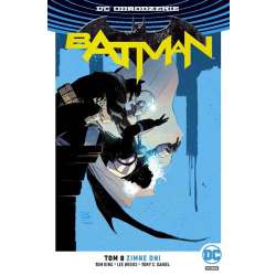Batman T.8 Zimne dni