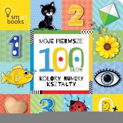 Moje pierwsze 100 SŁÓW. Kolory, numery, kształty