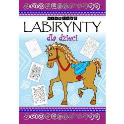 Ulubione labirynty dla dzieci i młodzieży - 1