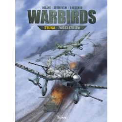 Warbirds Stuka Zabójca czołgów