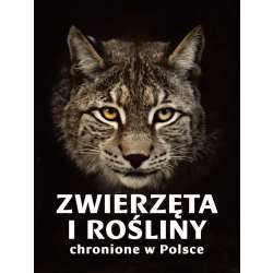 Zwierzęta i rośliny chronione w Polsce