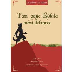 Tam, gdzie Rokita mówi dobranoc