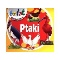 Świat wokół nas - Ptaki LIWONA