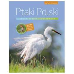 Encyklopedia ilustrowana. Ptaki Polski - 1