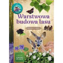 Młody Obserwator Przyrody. Warstwowa budowa lasu - 1