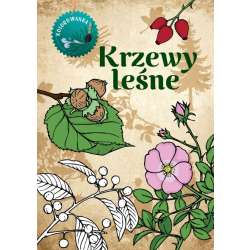 Krzewy leśne kolorowanka - 1