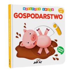 Książka Motoryka Smyka. Gospodarstwo (karton) Wyd. Jedność (9788381445214)