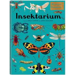 W Muzeum. Insektarium. Muzeum Owadów