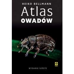 Atlas owadów w.6