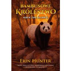 Bambusowe Królestwo T.4 Mroczne Słońce