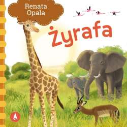 Żyrafa - 1