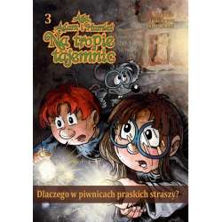 Aga, Adam... T.3 Dlaczego w piwnicach praskich... - 1