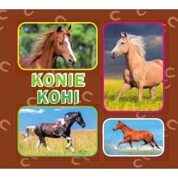 Konie