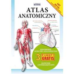 Atlas anatomiczny - 1