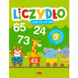 Liczydło. Liczby od 1 do 100 - 1