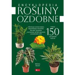 Rośliny ozdobne - 1
