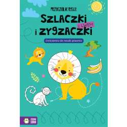 Przedszkolak rysuje. Szlaczki i zygzaczki z lwem (9788382991321)