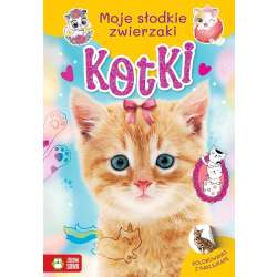 Moje słodkie zwierzaki. Kotki